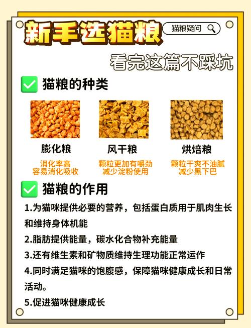 猫咪多大换成猫猫粮?