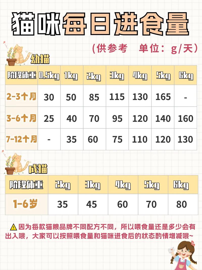 猫咪多大吃成猫粮