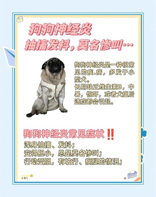 我怀疑我家狗狗患上了神经炎,该做什么检查?