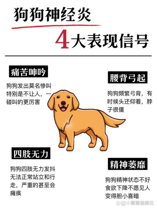 狗狗神经受损什么症状
