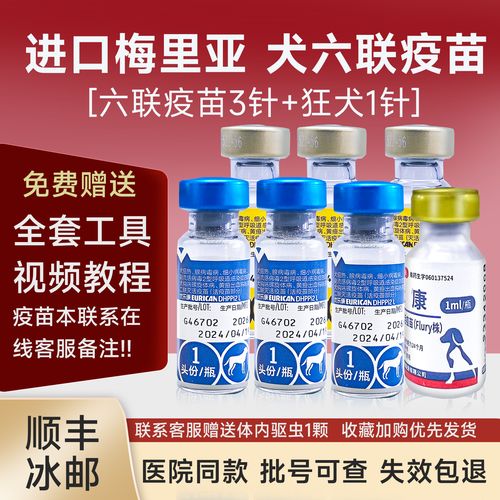 一般给狗狗打六联和狂犬疫苗正常收费一针是多少钱?