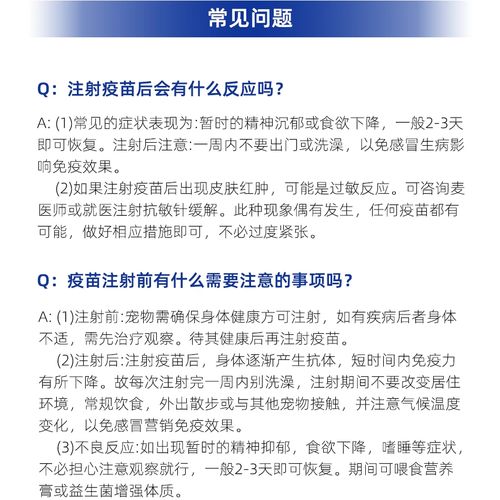 小狗打6联针多少钱