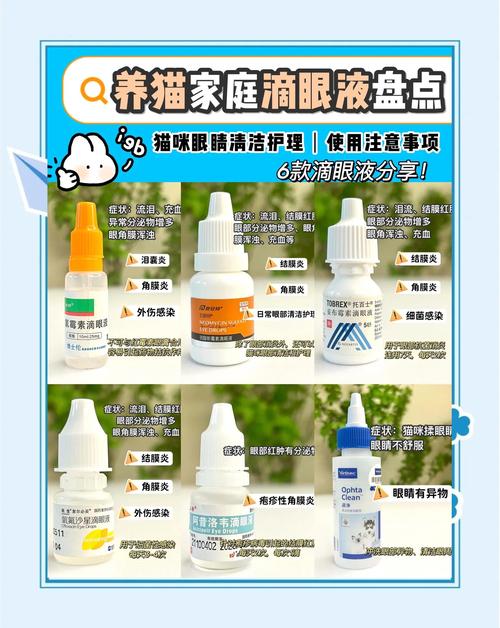 猫流眼泪眼屎多用什么药比较好