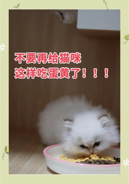 一个多月大的猫能吃蛋黄吗?