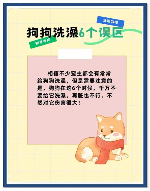 狗狗不能洗澡但是很臭怎么办