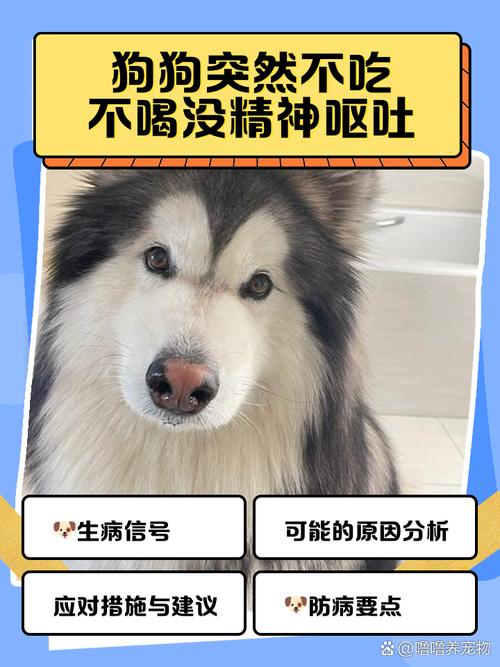 狗狗最近总是喘粗气,还会无缘无故发出惨叫,去医院也没查出来是啥毛病...