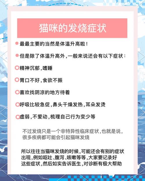 猫咪发烧可以吃什么药