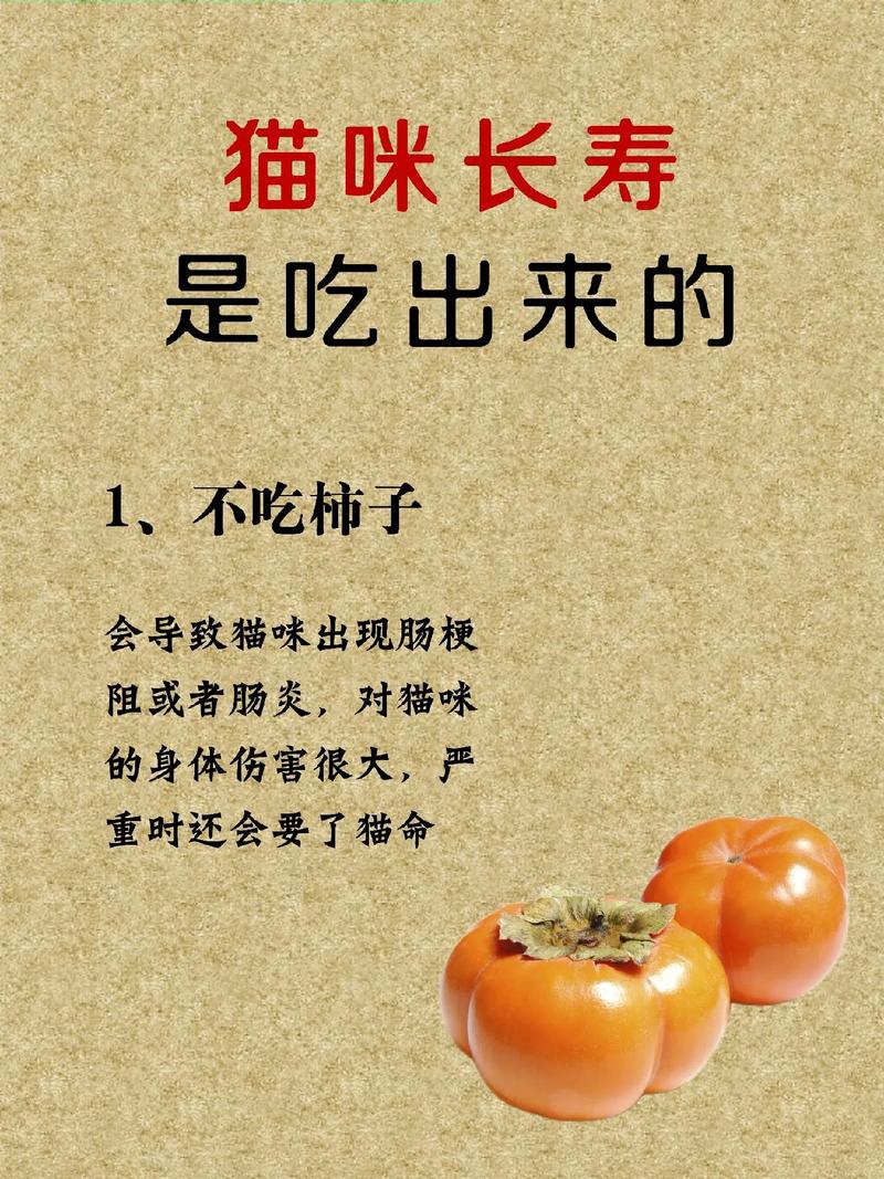 猫能不能吃柿子呢?