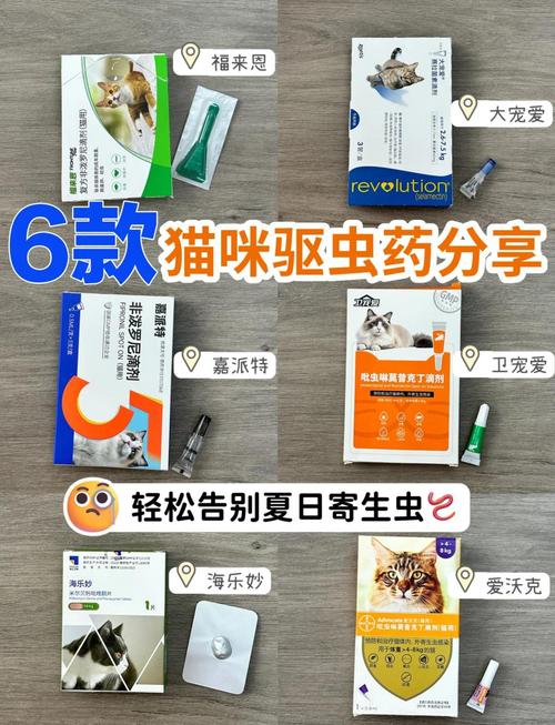 猫咪体外驱虫吃什么药?