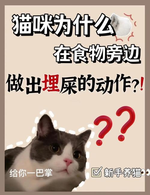 猫猫埋屎的原因是什么?
