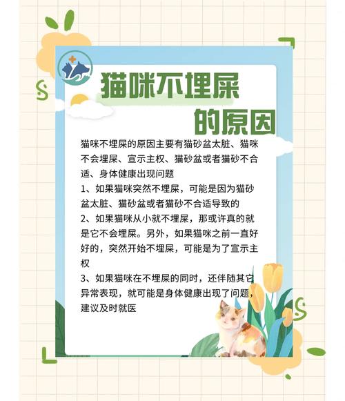 猫为什么埋自己的屎