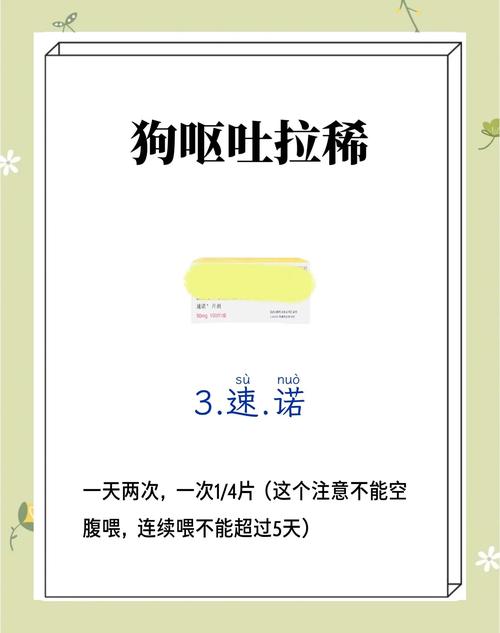 狗狗得肠胃炎了怎么自救?