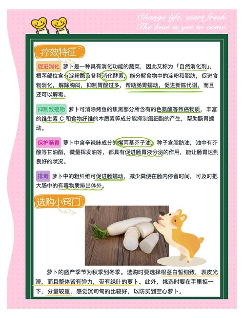 狗狗吃白萝卜的好处