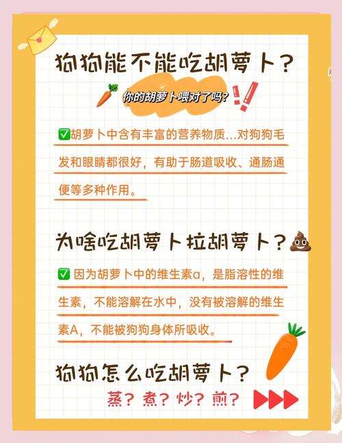 幼犬可以吃胡萝卜吗