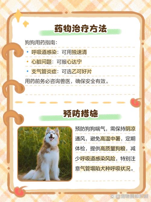 狗狗呼吸急促怎么治疗