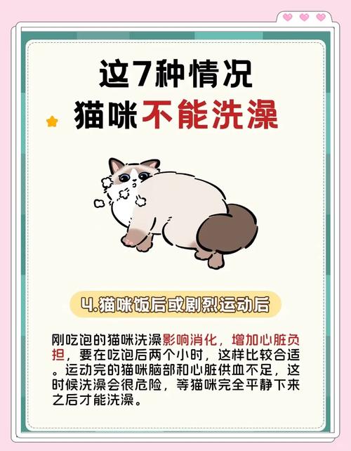 幼猫可不可以洗澡?怎样洗?