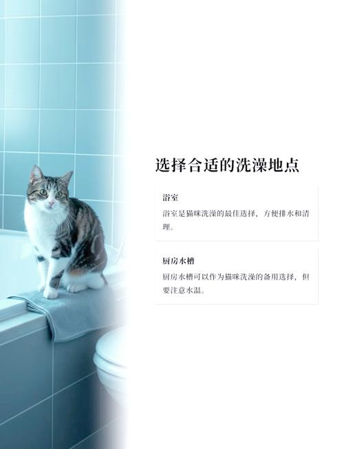 第一次给猫猫洗澡该洗多长时间?