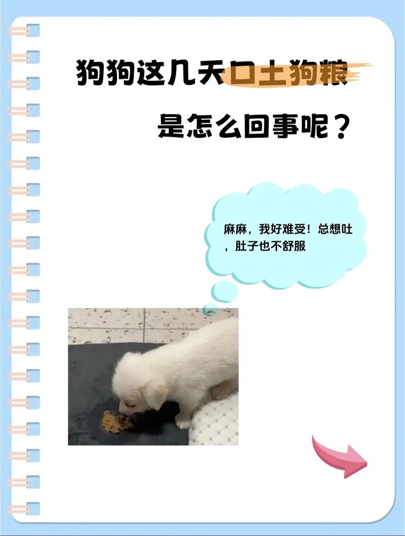 狗狗为什么吃完饭后呕吐