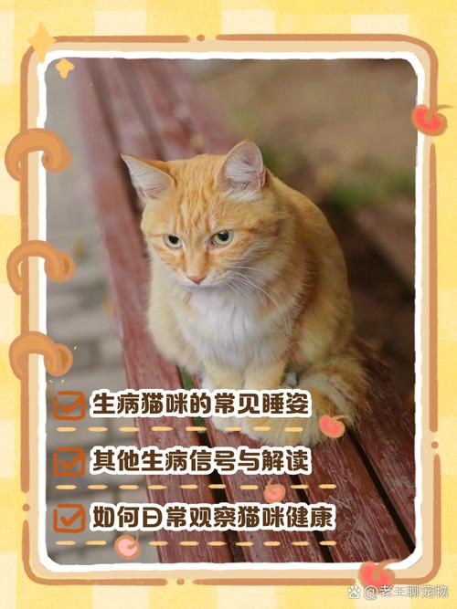 猫咪什么睡姿是生病了