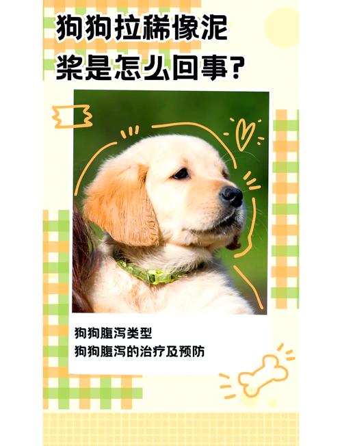 狗狗拉稀吃益生菌真的有用吗?