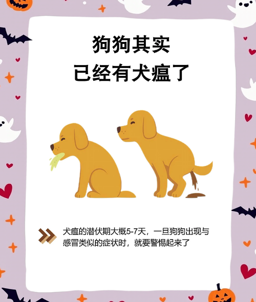 狗狗得了犬瘟狗瘟怎么办