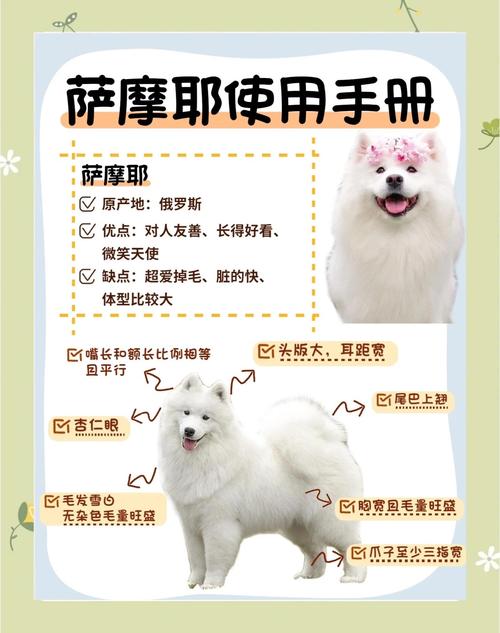 狗狗一生有哪几个阶段