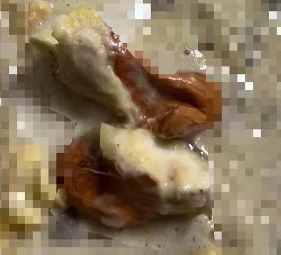 狗狗吃了榴莲核会死吗