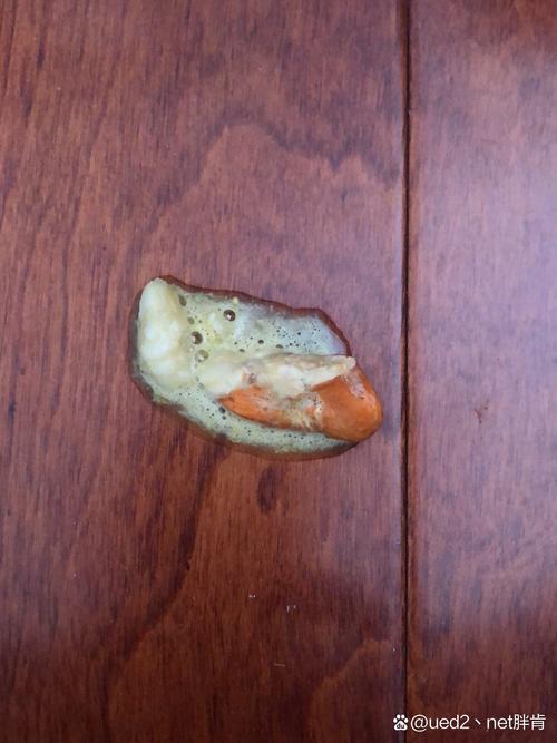 狗狗吃榴莲核怎么办啊?