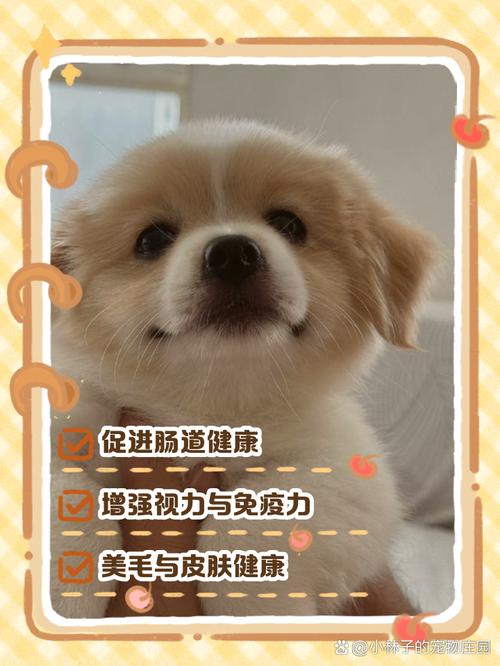 狗狗吃胡萝卜一次吃多少合适