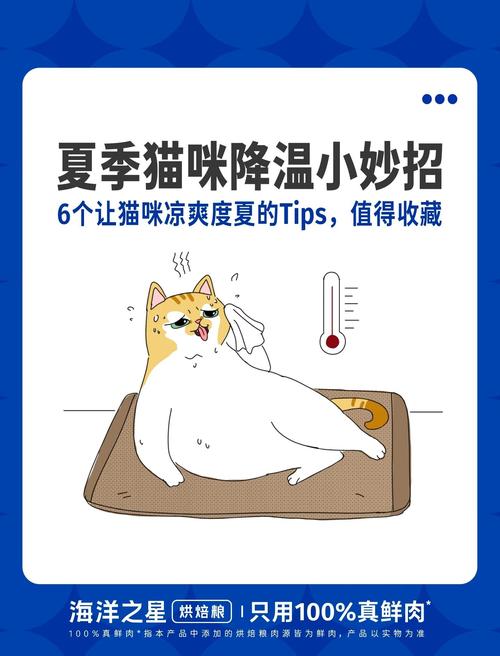 猫咪夏天能接受多少度