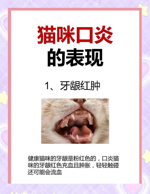 猫常见病大全及治疗方法