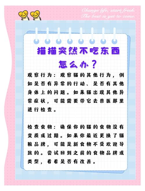 刚刚接回家的小猫咪不吃东西怎么办?