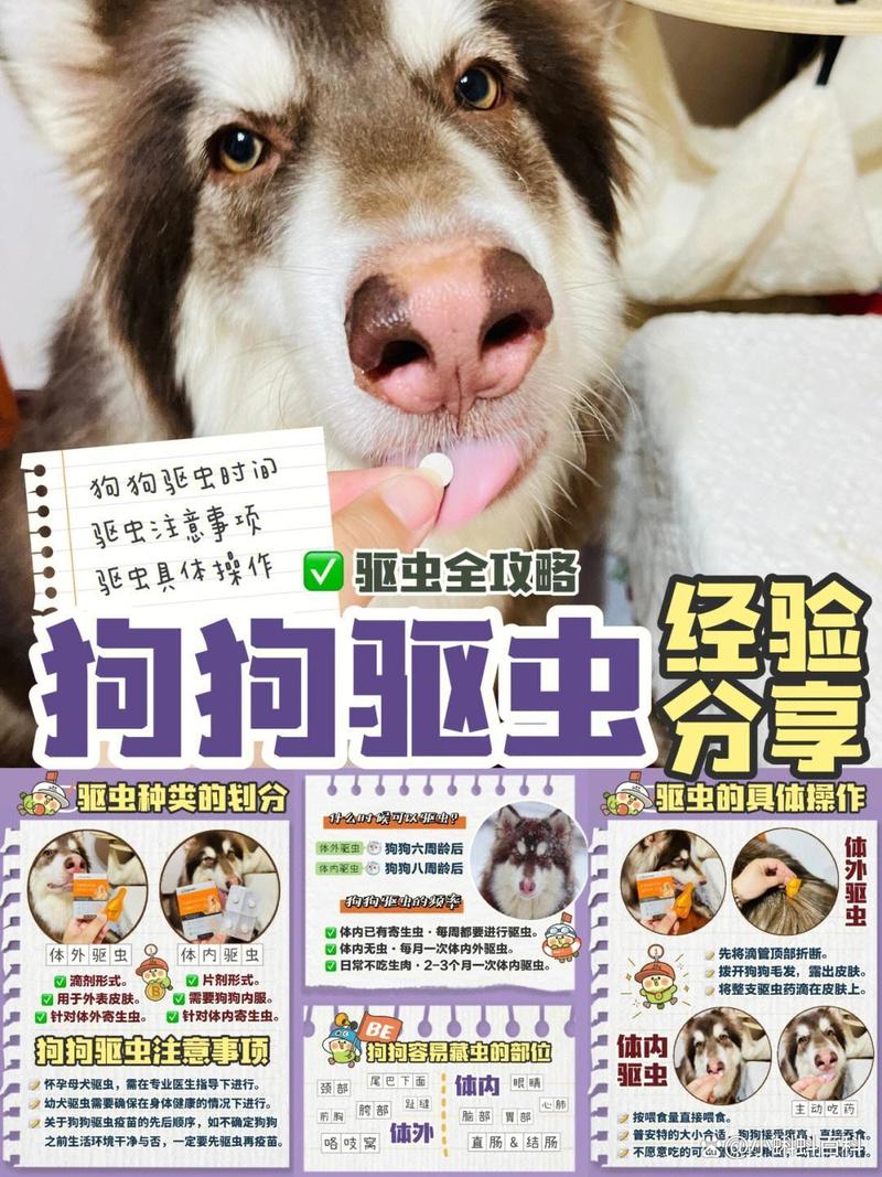 狗狗多大开始驱虫比较好