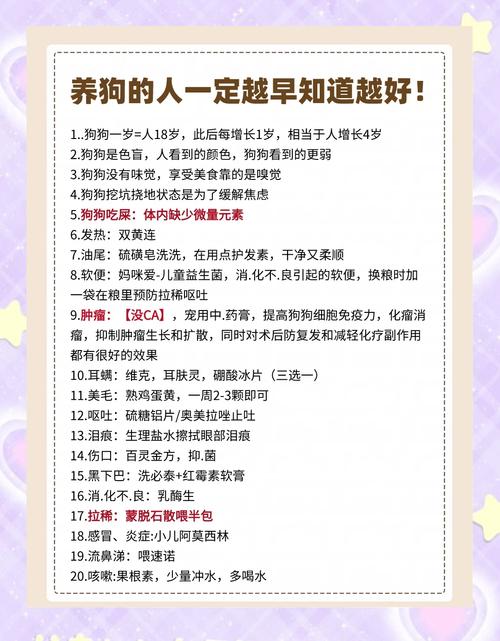 狗狗一年是人的几岁?