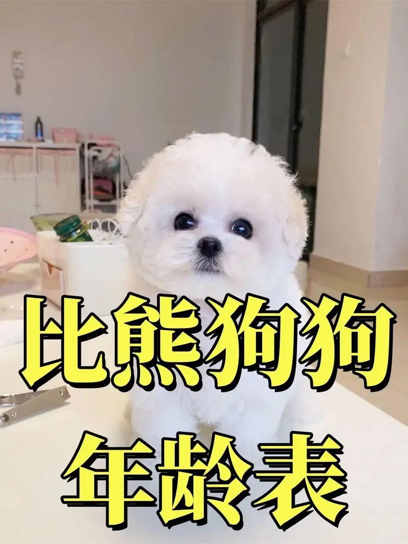 狗狗三个月相当于人的几岁??