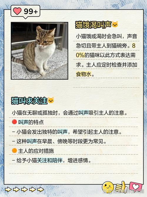 猫咪不愿意在笼子里一直叫怎么办