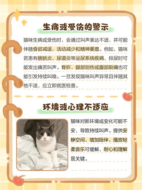 猫咪一离开人就一直叫该怎么办?