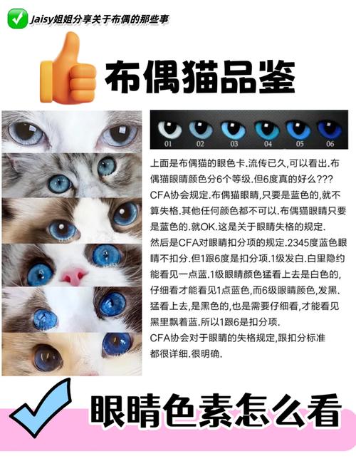 我家小猫的眼睛颜色不一样是怎么回事?
