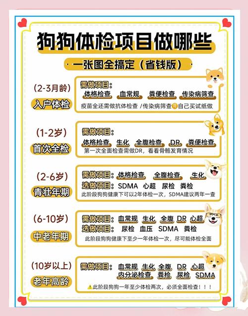 给狗验血花了400多元正常吗