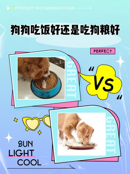 狗狗吃狗粮好还是饭好?