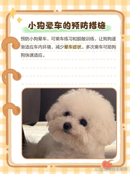 狗狗晕车有什么反应?