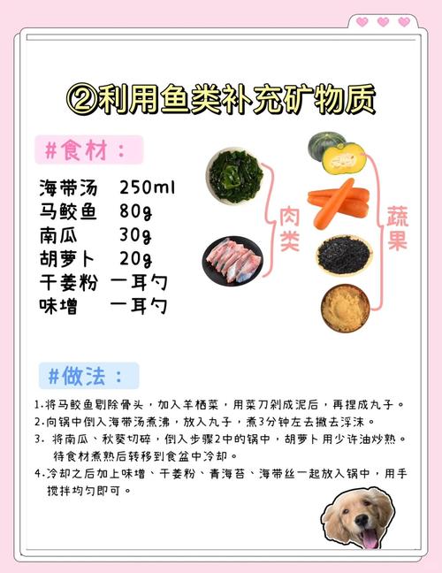 狗狗吃什么提升免疫力