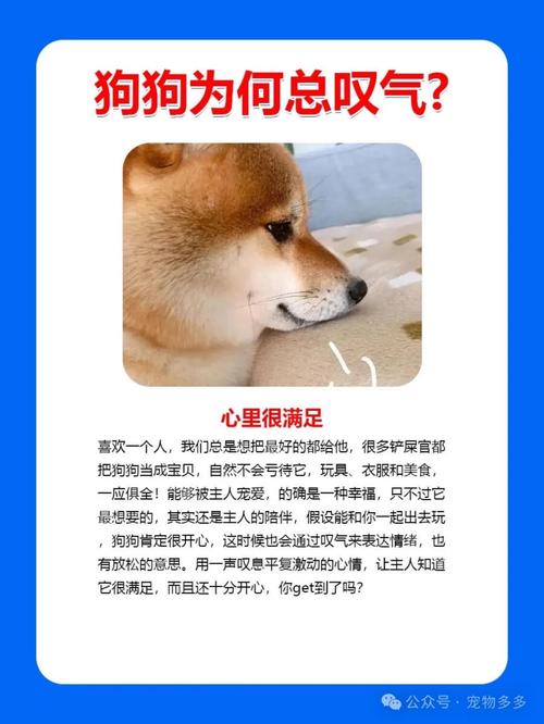 狗狗临终为什么叹气