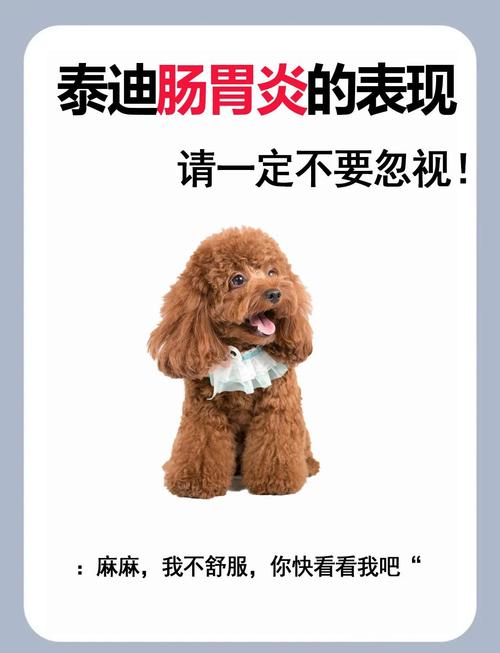 小狗可以吃薯片和咪咪虾条么