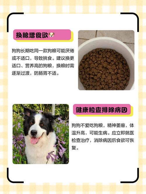 狗狗换狗粮不吃怎么办
