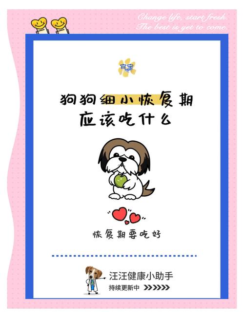 狗狗得了细小现在正在恢复应该吃些什么食物呢?