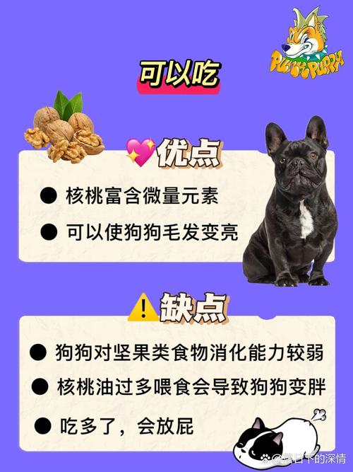 狗狗能吃核桃仁吗
