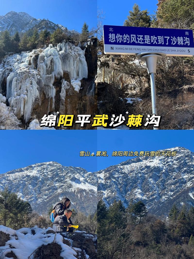 狗狗能吃酒米饭吗