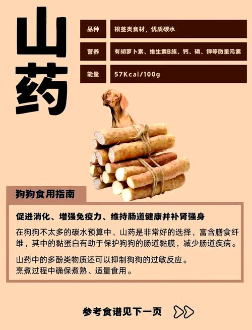 狗狗可以吃山药吗