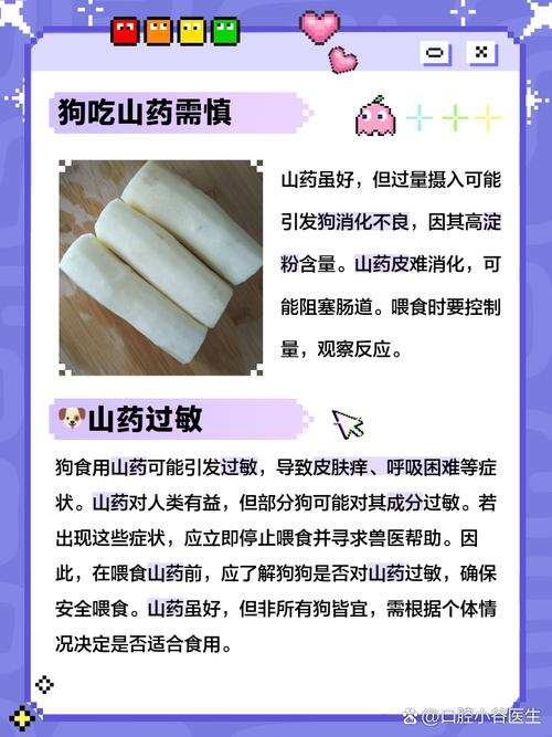狗狗能吃山药吗